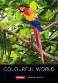 Colourful World Wochenplaner 2025 - 