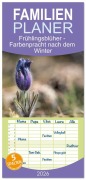 Cover-Bild zum Titel 'Familienplaner 2026 - Frühlingsblüher - Farbenpracht nach dem Winter mit 5 Spalten (Wandkalender, 21 x 45 cm) CALVENDO' von 'Tanja Schultz Fotografie'