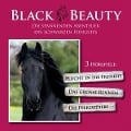 Cover-Bild zum Titel 'Black Beauty Die Spannenden Abenteuer Des Schwarze' von 'Hannes Seebauer'