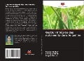 Cover-Bild zum Titel 'Gestion intégrée des nutriments dans le gombo' von 'Sonam Jadhav, Shivaji Shinde, Angad Garde'