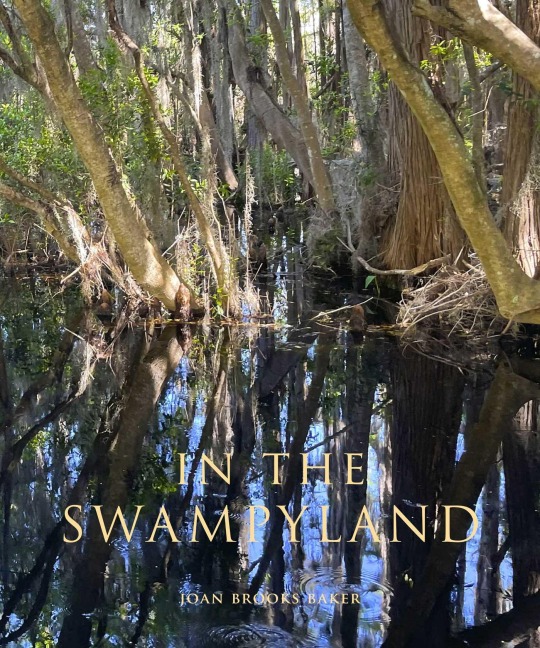 In the Swampyland - Joan Brooks Baker