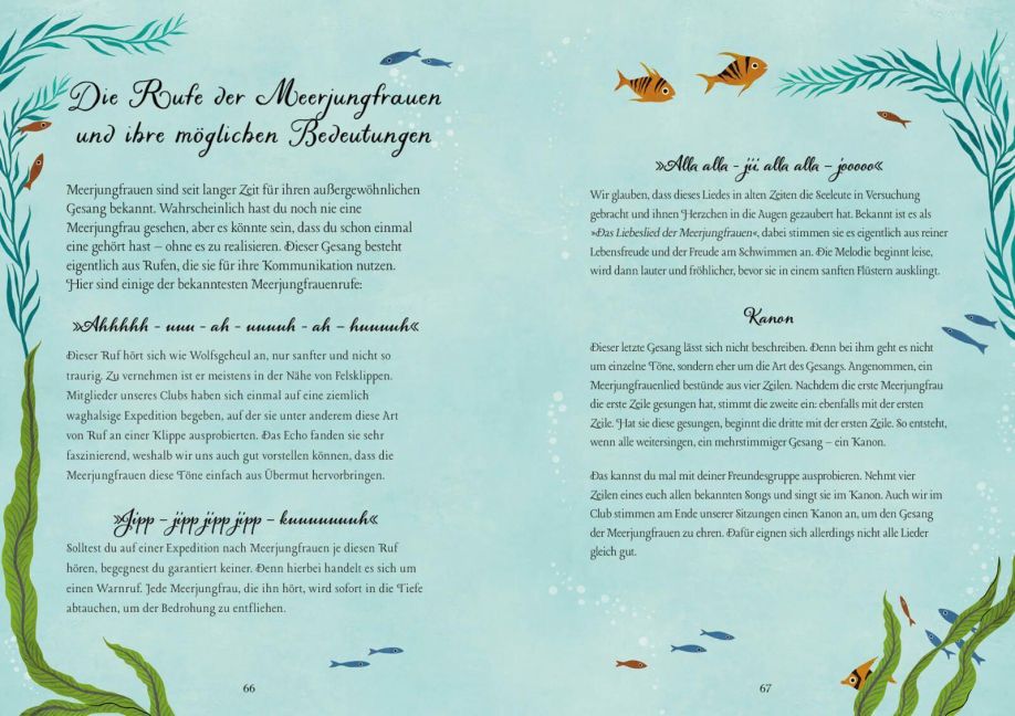 InsideView 5