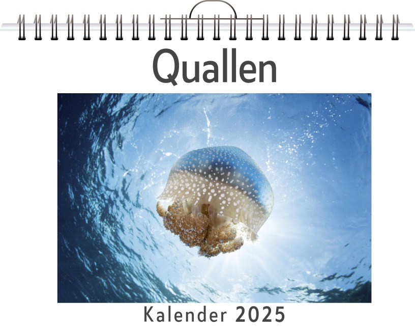 Quallen - (Wandkalender 2025, Kalender DIN A4 quer, Monatskalender im Querformat mit Kalendarium, das perfekte Geschenk) - Jakob Weber