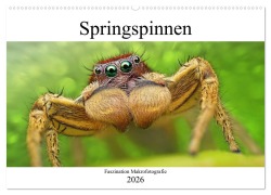 Cover-Bild zum Titel 'Faszination Makrofotografie: Springspinnen (Wandkalender 2026 DIN A2 quer), CALVENDO Monatskalender' von 'Alexander Mett Photography'
