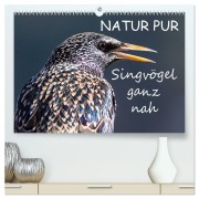 Cover-Bild zum Titel 'NATUR PUR - Singvögel ganz nah (hochwertiger Premium Wandkalender 2026 DIN A2 quer), Kunstdruck in Hochglanz' von 'Karin Dietzel'