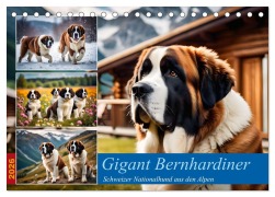 Cover-Bild zum Titel 'Gigant Bernhardiner (Tischkalender 2026 DIN A5 quer), CALVENDO Monatskalender' von 'Claudia Kleemann'