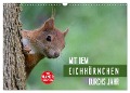 Mit dem Eichhörnchen durchs Jahr (Wandkalender 2025 DIN A3 quer), CALVENDO Monatskalender - Margret Brackhan