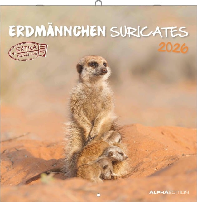 Alpha Edition - Erdmännchen 2026 Broschürenkalender, 30x30cm, Wandkalender mit Platz für Notizen und Termine, Motive von süßen Erdmännchen, Monatsübersicht und Ferientermine DE/AT/CH - 