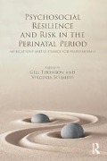 Cover-Bild zum Titel 'Psychosocial Resilience and Risk in the Perinatal Period' von ''