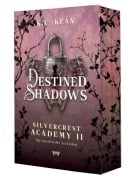 Cover-Bild zum Titel 'Destined Shadows: Spicy Reverse Harem Dark Romantasy' von 'K. C. Kean'