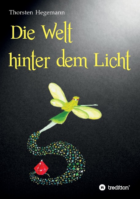 Die Welt hinter dem Licht - Thorsten Hegemann
