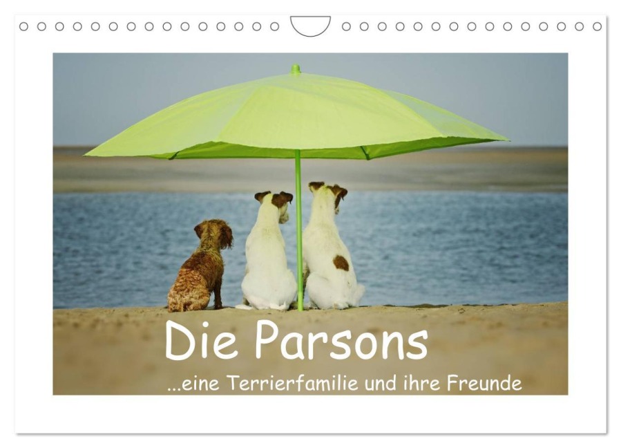 Die Parsons (Wandkalender 2025 DIN A4 quer), CALVENDO Monatskalender - Kathrin Köntopp