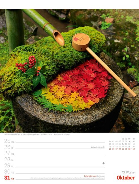 InsideView 47