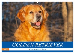Golden Retriever - Freunde auf 4 Pfoten (Wandkalender 2026 DIN A2 quer), CALVENDO Monatskalender - Sigrid Starick