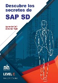 Descubre los secretos de SAP Ventas y distribucion - Luz Andrea Diaz