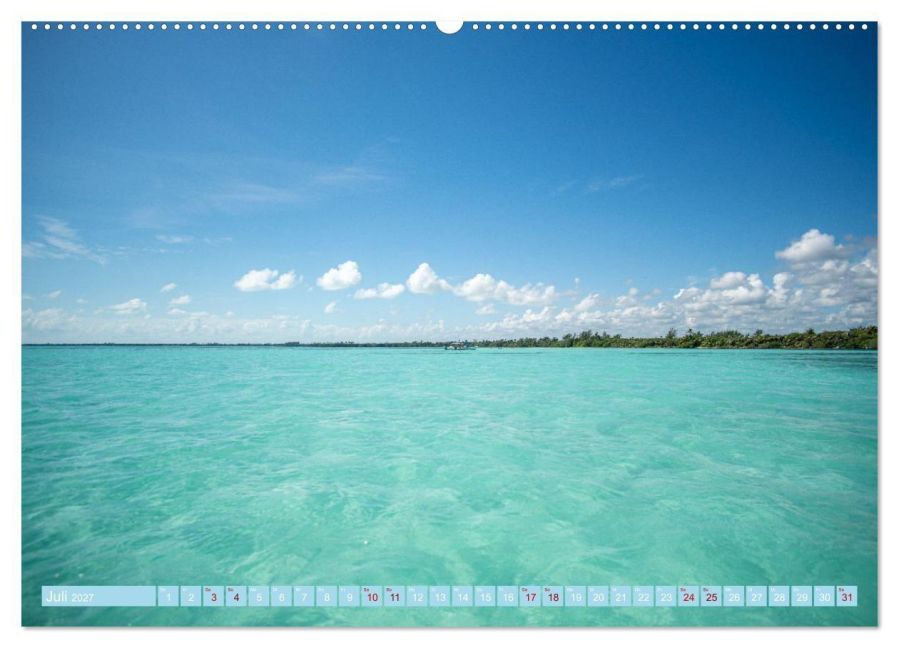 InsideView 11