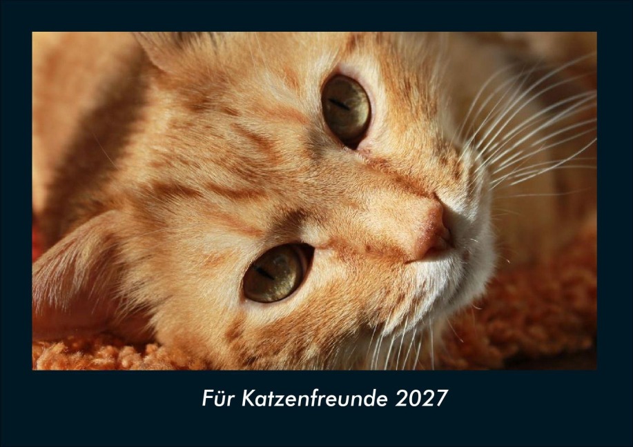 Für Katzenfreunde 2027 Fotokalender DIN A4 - Kevin Heber, Tobias Schmitt