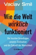 Cover-Bild zum Titel 'Wie die Welt wirklich funktioniert' von 'Vaclav Smil'