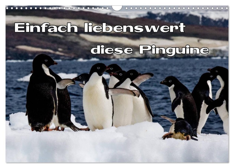 Einfach liebenswert diese Pinguine (Wandkalender 2027 DIN A3 quer), CALVENDO Monatskalender - Frank Baumert