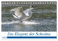 Die Eleganz der Schwäne (Tischkalender 2024 DIN A5 quer), CALVENDO Monatskalender - Andreas Müller Fotografie