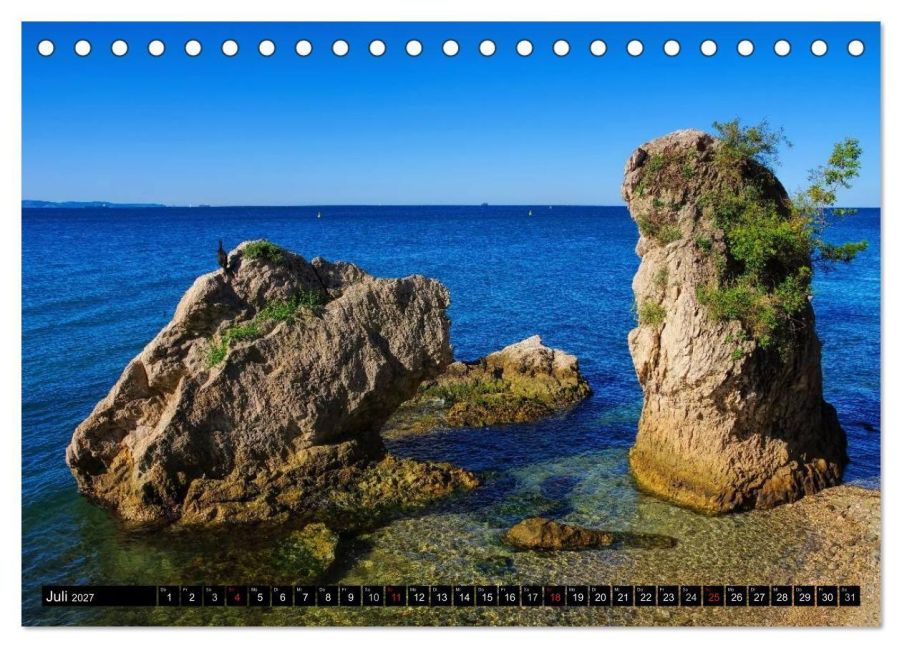 InsideView 12