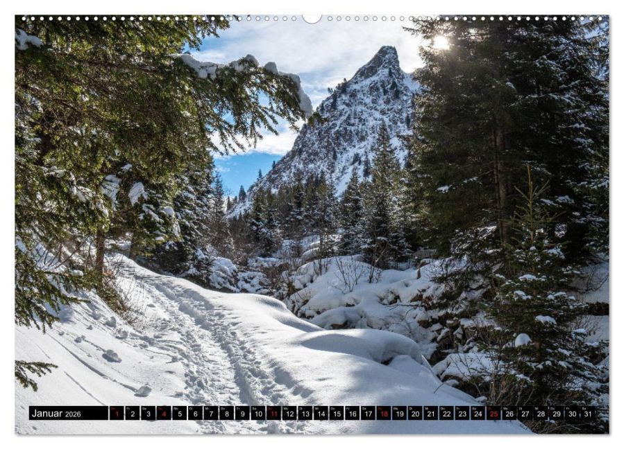 InsideView 5