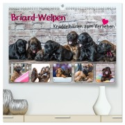 Cover-Bild zum Titel 'Briard-Welpen - Knuddelbären zum Verlieben (hochwertiger Premium Wandkalender 2026 DIN A2 quer), Kunstdruck in Hochglanz' von 'Sonja Teßen'