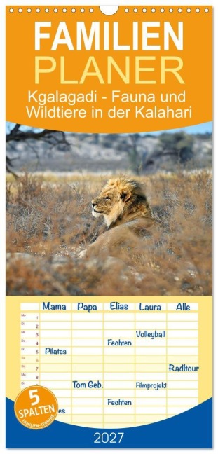 Familienplaner 2027 - Kgalagadi - Fauna und Wildtiere in der Kalahari mit 5 Spalten (Wandkalender, 21 x 45 cm) CALVENDO - Dieter Stahl