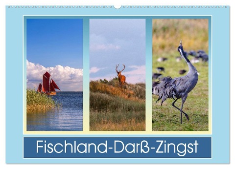 Fischland-Darß-Zingst (Wandkalender 2025 DIN A2 quer), CALVENDO Monatskalender - Daniela Beyer (Moqui)