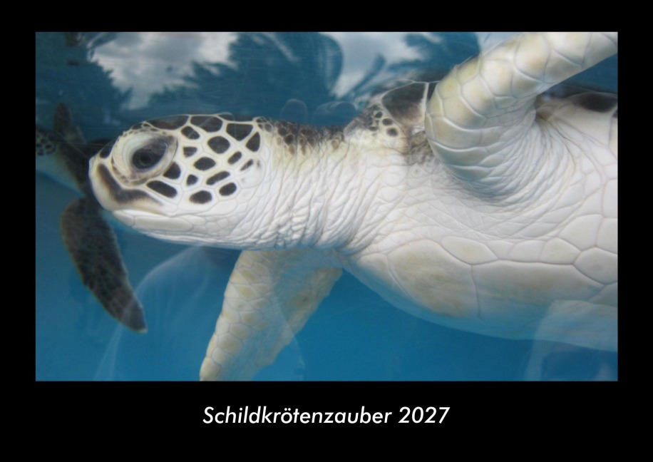 Schildkrötenzauber 2027 Fotokalender DIN A3 - Tobias Becker