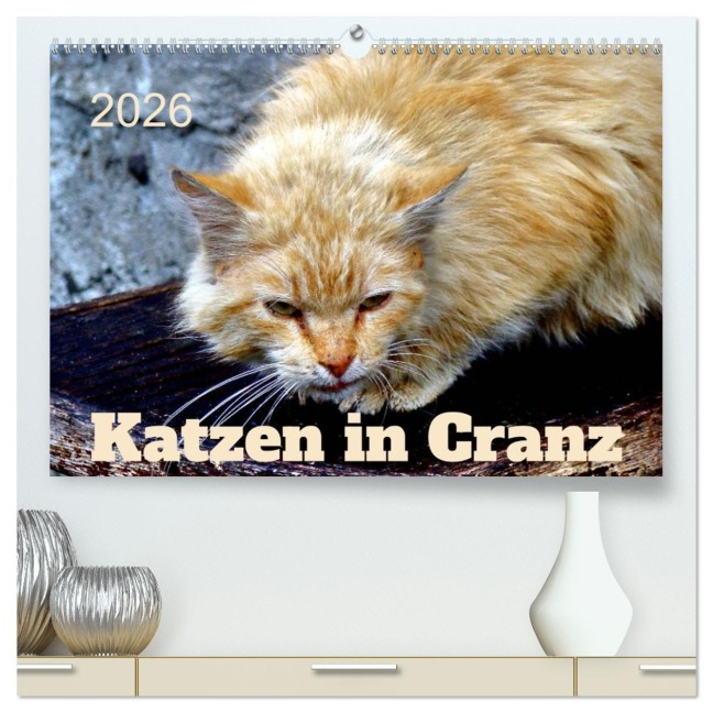 Katzen in Cranz (hochwertiger Premium Wandkalender 2026 DIN A2 quer), Kunstdruck in Hochglanz - Henning von Löwis of Menar