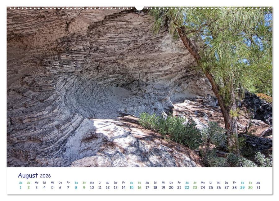InsideView 12