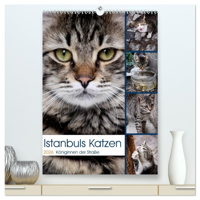 Istanbuls Katzen (hochwertiger Premium Wandkalender 2026 DIN A2 hoch), Kunstdruck in Hochglanz - Harald Wagener