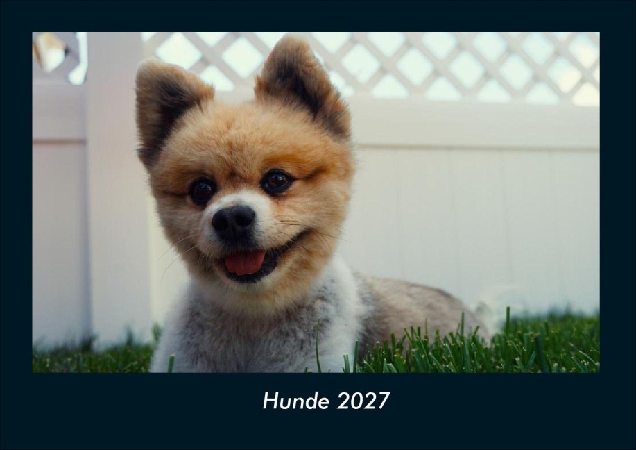 Hunde 2027 Fotokalender DIN A4 - Tobias Schmitt, Kevin Heber