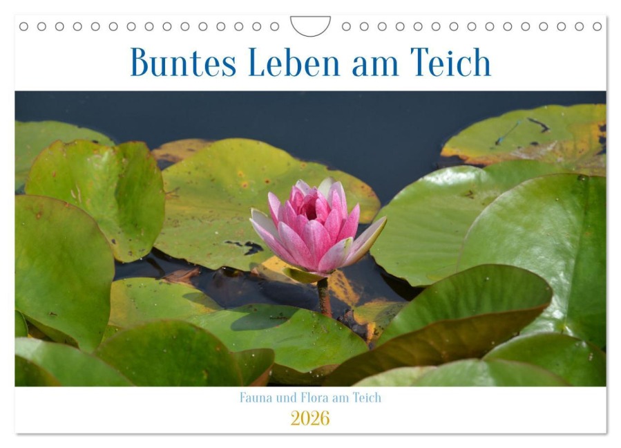 Buntes Leben am Teich (Wandkalender 2026 DIN A4 quer), CALVENDO Monatskalender - Ingrid Franz