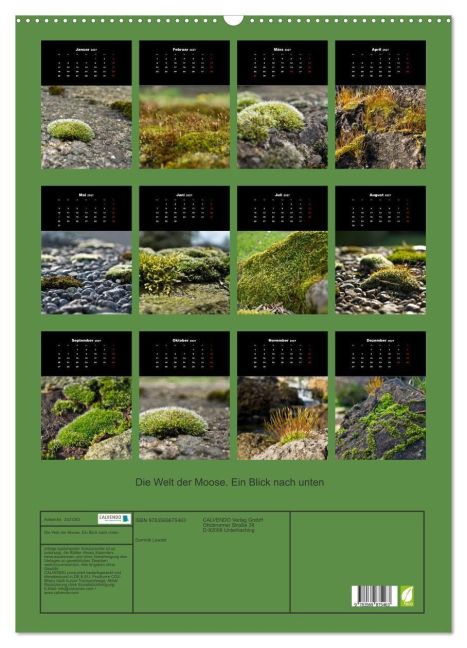 InsideView 5
