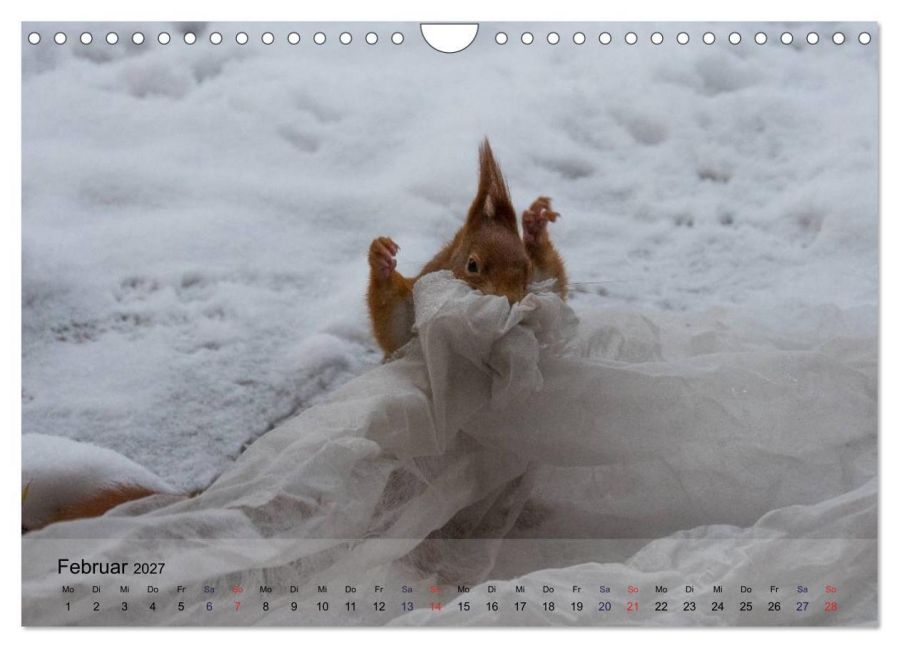 InsideView 7