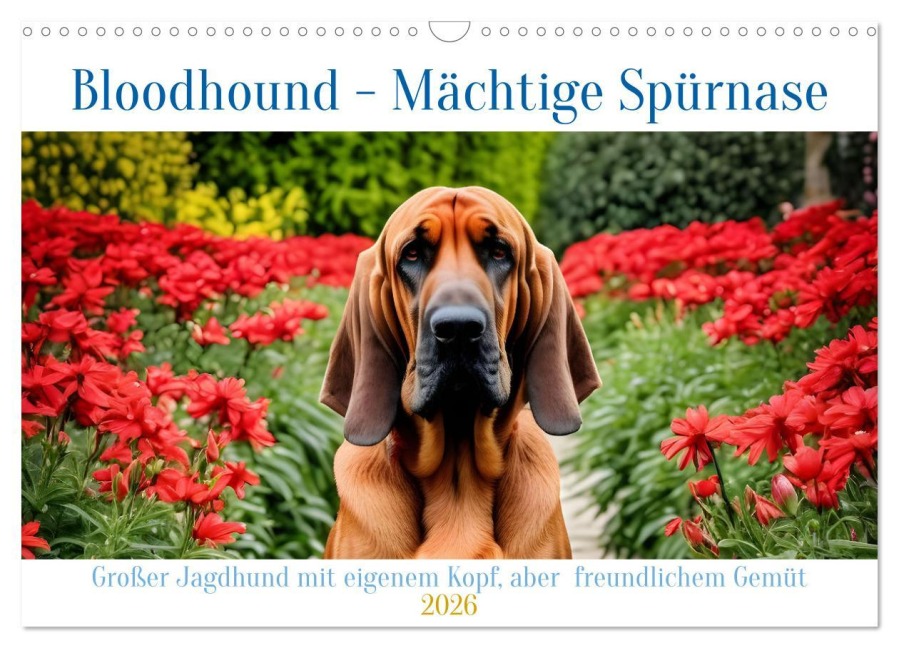 Bloodhound - Mächtige Spürnase (Wandkalender 2026 DIN A3 quer), CALVENDO Monatskalender - Claudia Kleemann