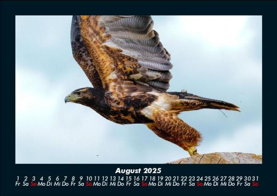 InsideView 12