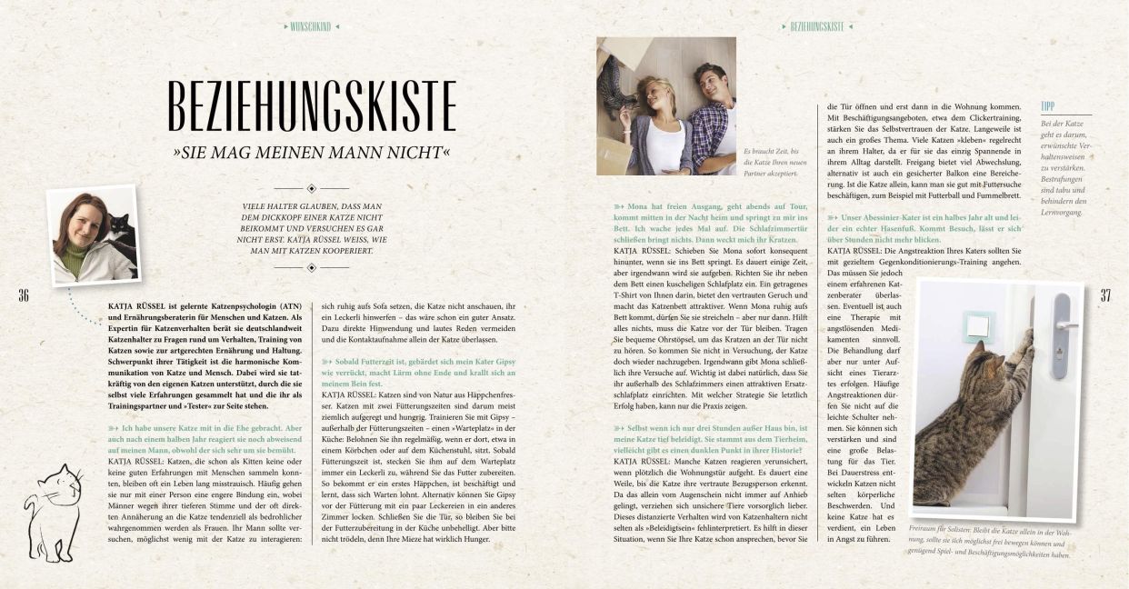 InsideView 6