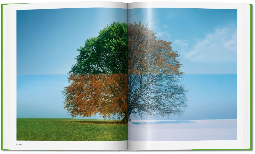 InsideView 8