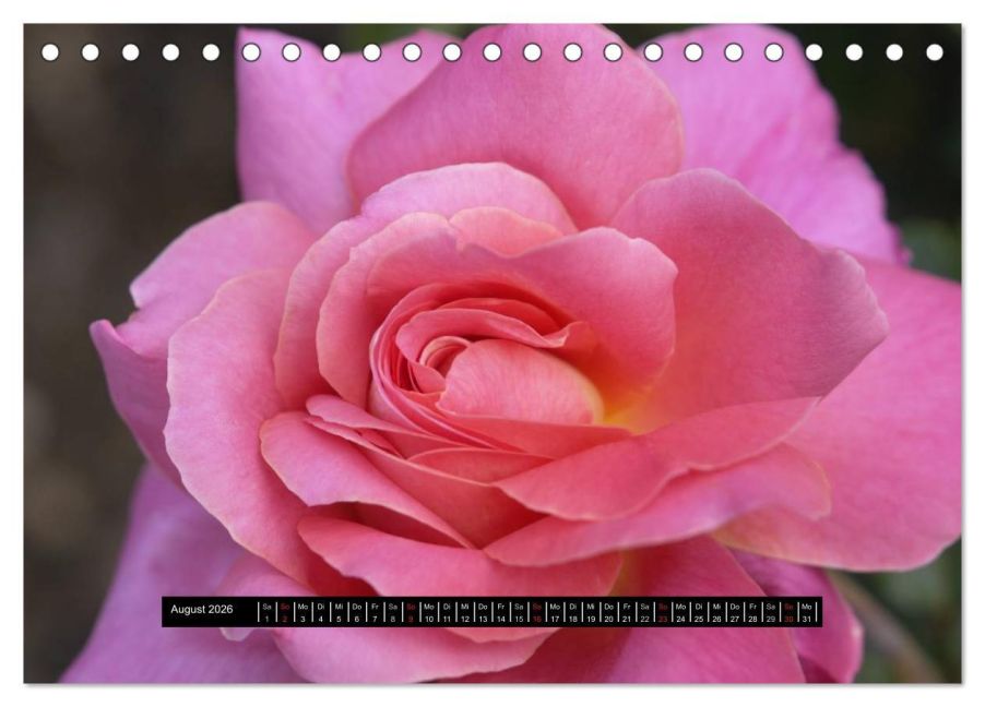 InsideView 13