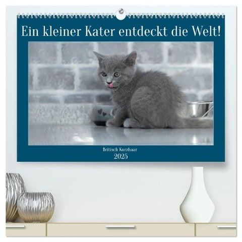 Ein kleiner Kater entdeckt die Welt! (hochwertiger Premium Wandkalender 2025 DIN A2 quer), Kunstdruck in Hochglanz - Manuela Hartmann