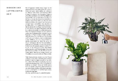 InsideView 5