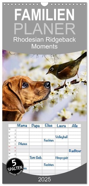 Familienplaner 2025 - Rhodesian Ridgeback - Moments mit 5 Spalten (Wandkalender, 21 x 45 cm) CALVENDO - Dagmar Behrens