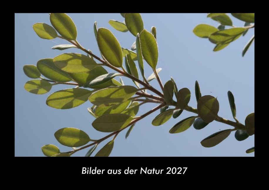 Bilder aus der Natur 2027 Fotokalender DIN A3 - Tobias Becker