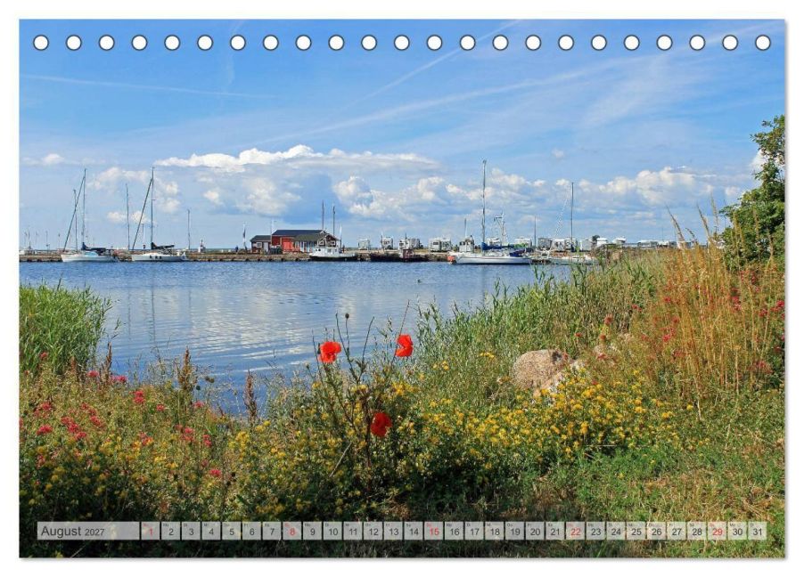 InsideView 13