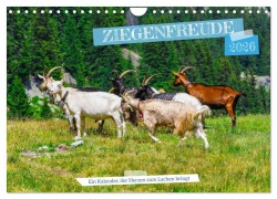 Cover-Bild zum Titel 'Ziegenfreude (Wandkalender 2026 DIN A4 quer), CALVENDO Monatskalender' von 'RenaldoCaumont RenaldoCaumont'