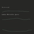 Cover-Bild zum Titel 'Driftwood' von 'Lukas Bitterlin Quartet'