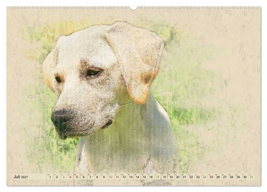 InsideView 12